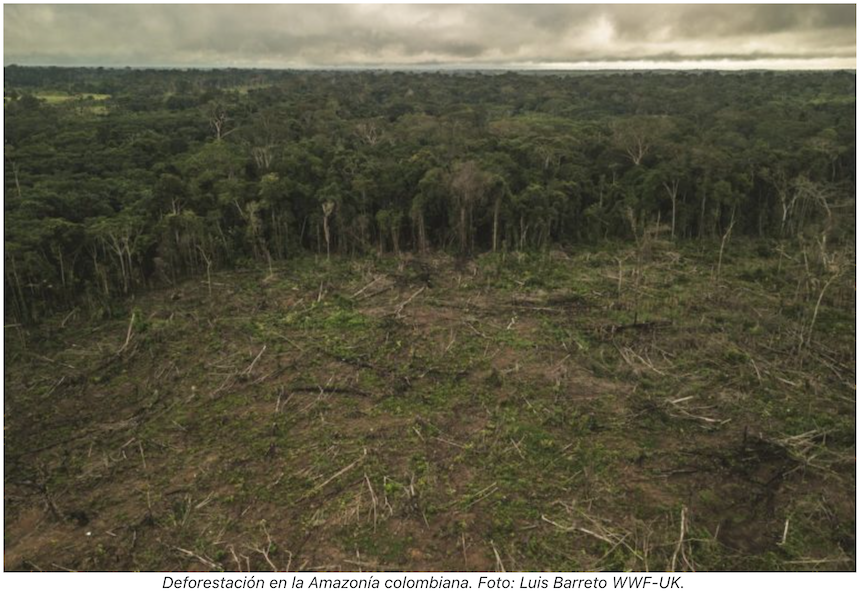Deforestación en la Amazonía colombiana. Foto: Luis Barreto WWF-UK.