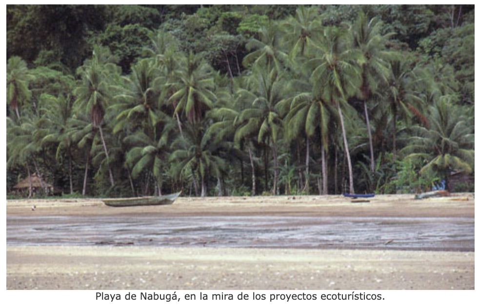 Playa de Nabugá, en la mira de los proyectos ecoturísticos.