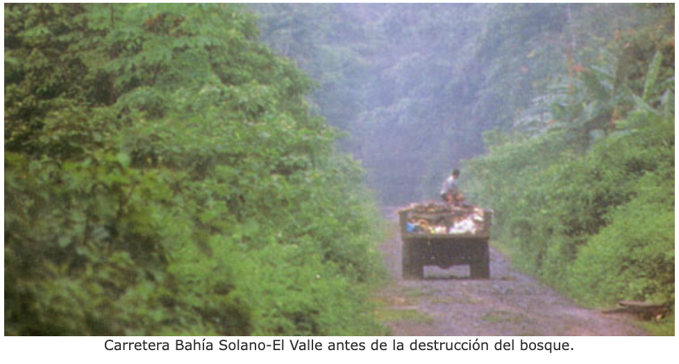 Carretera Bahía Solano-El Valle antes de la destrucción del bosque.