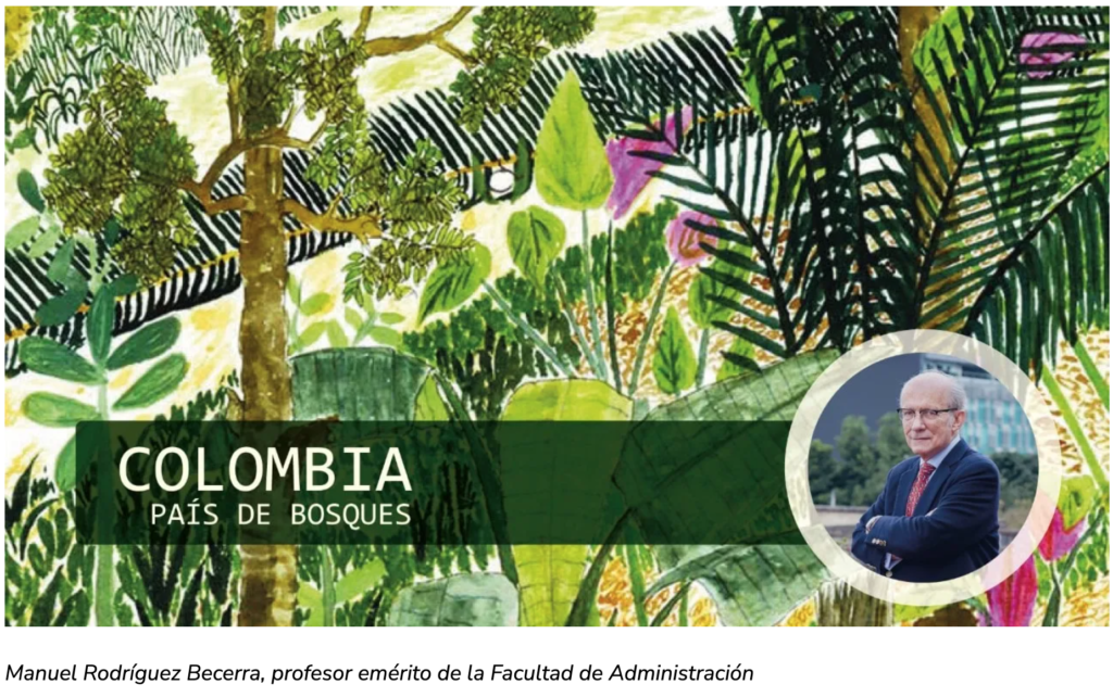 Colombia país de bosques: un llamado a frenar la deforestación para preservar nuestro futuro​