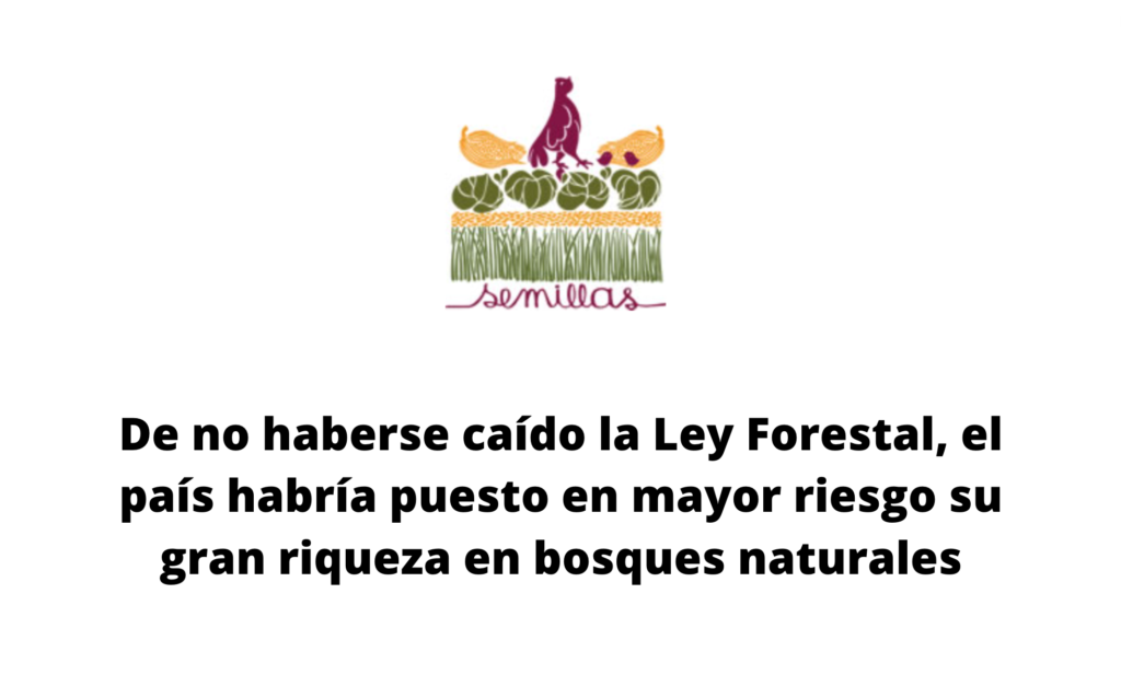 De no haberse caído la Ley Forestal, el país habría puesto en mayor riesgo su gran riqueza en bosques naturales